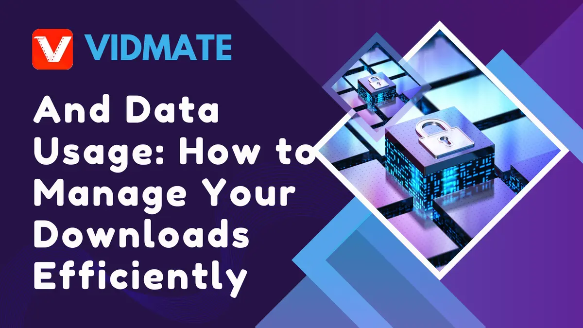 VidMate and Data Usage